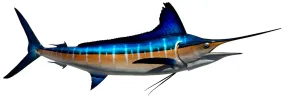 116 INCH STRIPED MARLIN