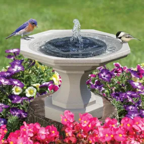 Aquanura Solar Bird Bath Insert