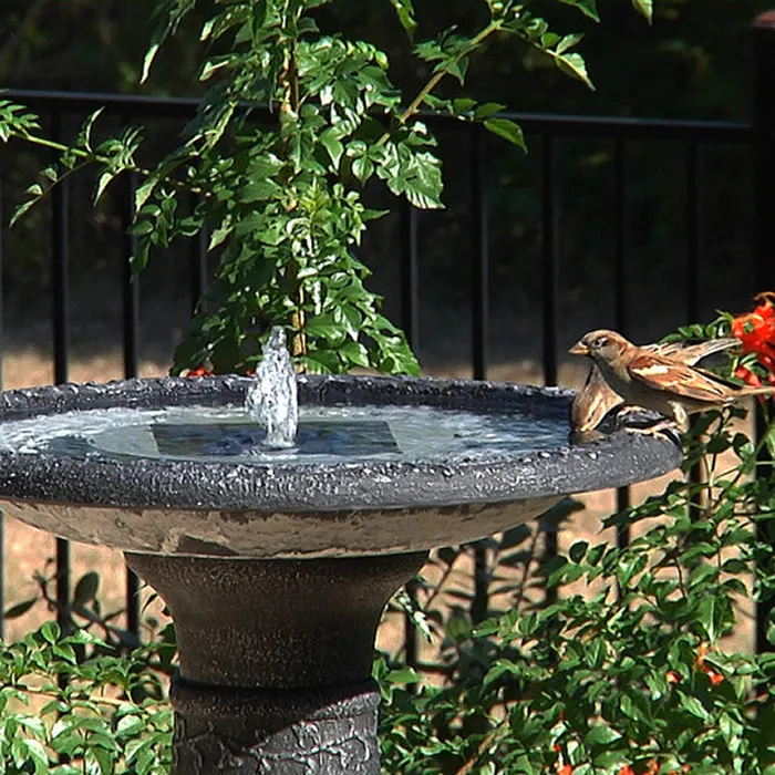 Aquanura Solar Bird Bath Insert