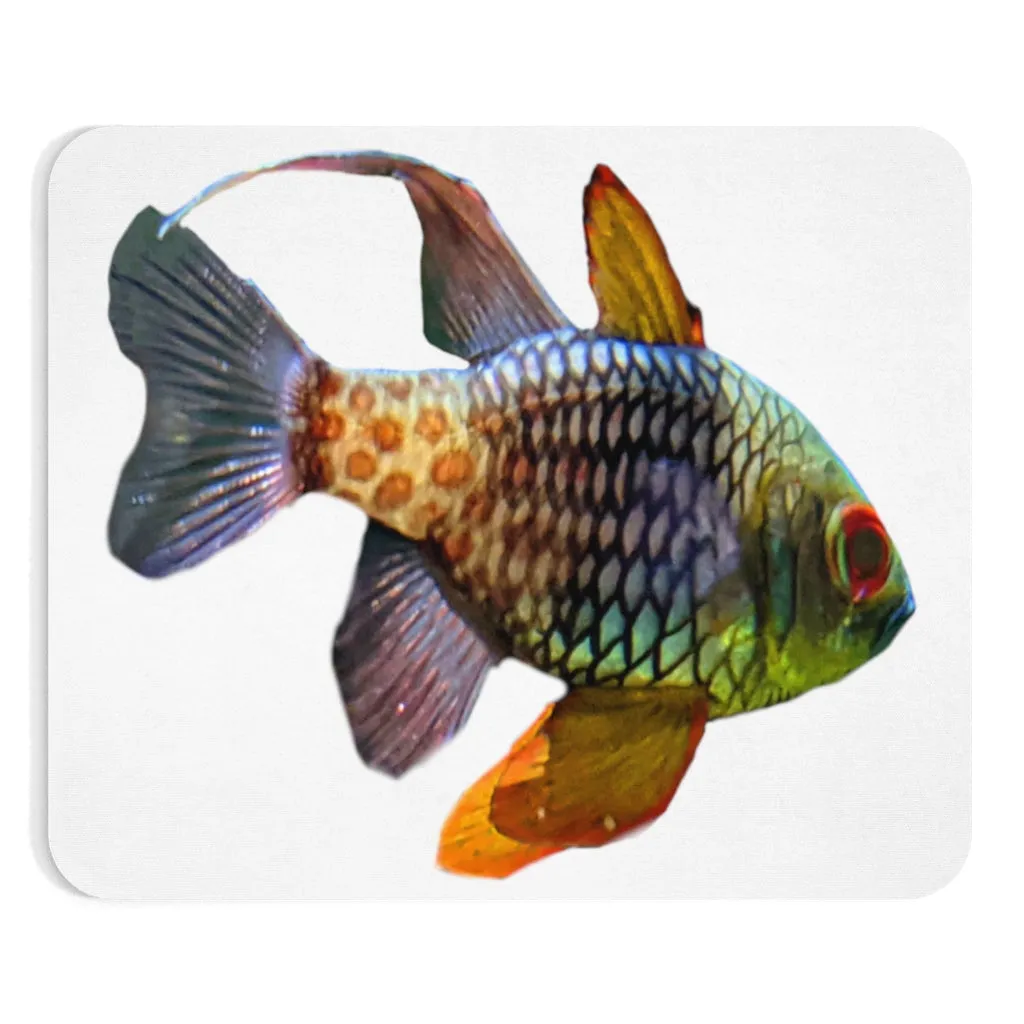 Colored Fish Mouse Pad (EU)