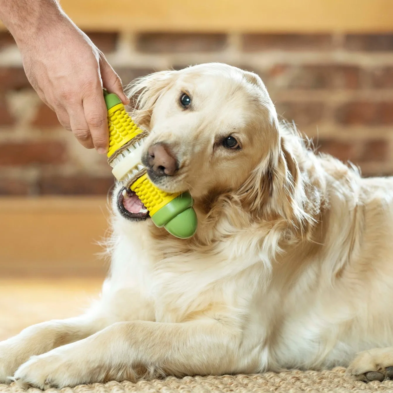 Cravin’ Corncob Treat Ring Dog Toy