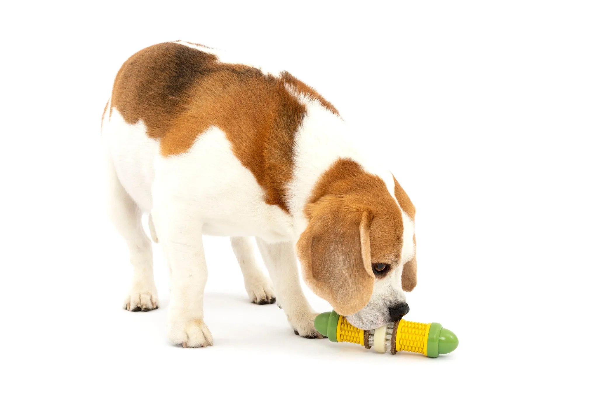 Cravin’ Corncob Treat Ring Dog Toy