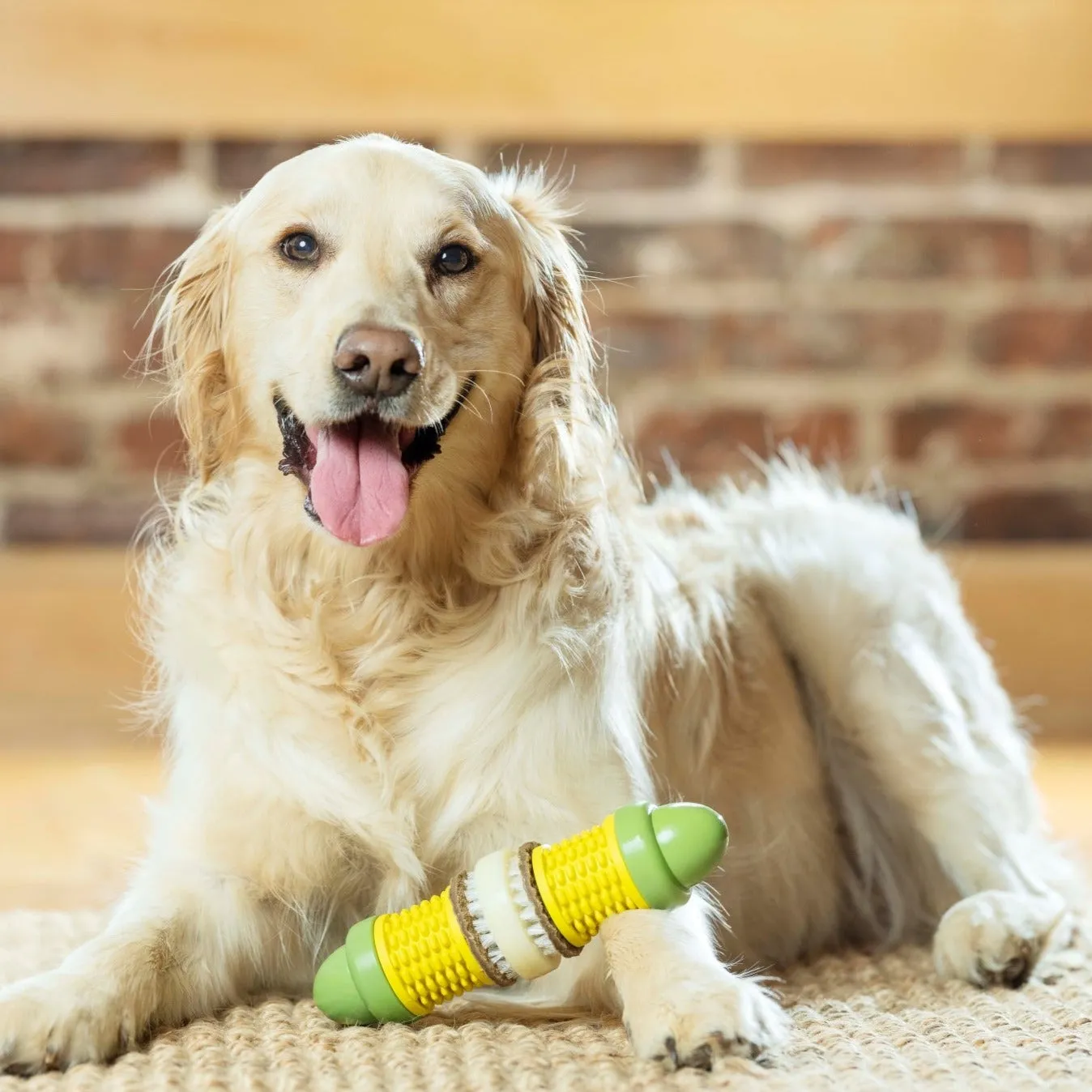 Cravin’ Corncob Treat Ring Dog Toy