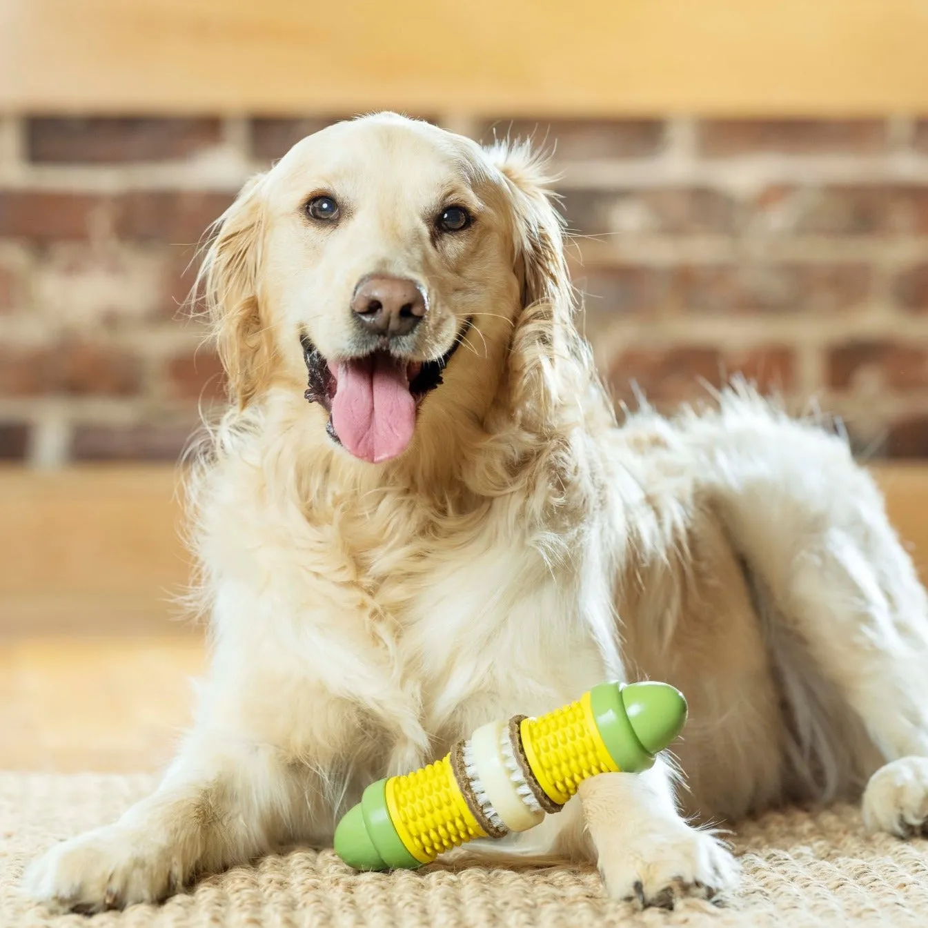 Cravin’ Corncob Treat Ring Dog Toy