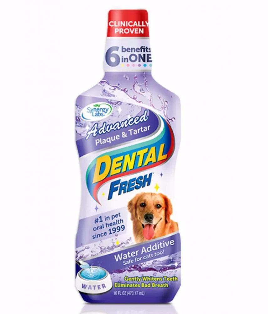 Dental Fresh Plaque/Tartar 17oz