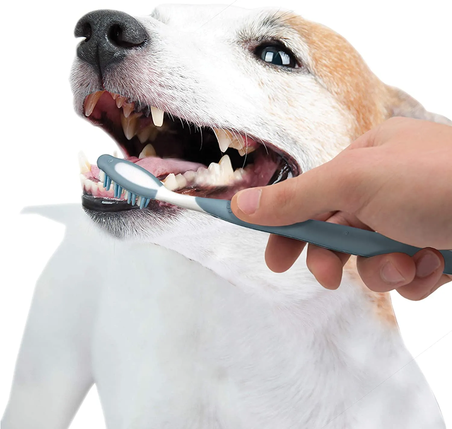 Dog Dental Kit - Nylabone Advanced Oral Care Natural Dog Dental Kit