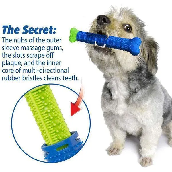 Dog Toothbrush Chew Toy