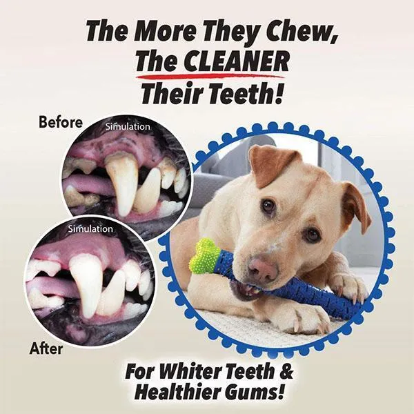 Dog Toothbrush Chew Toy