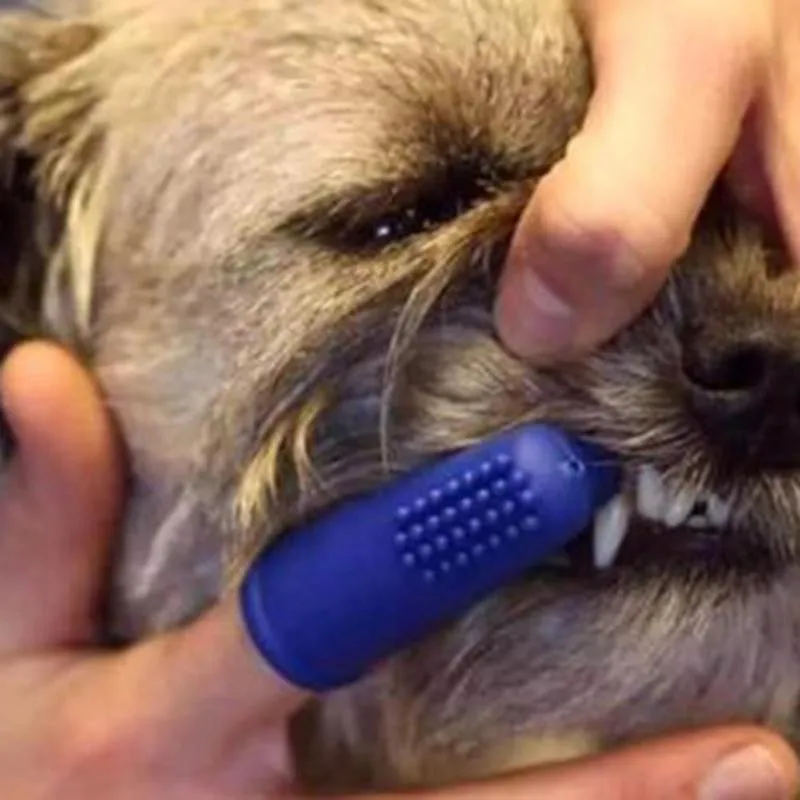 Finger toothbrush