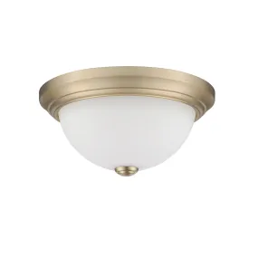 Flush Mount Fixture - Modern Gold - Etched White Glass - 11in. Diameter - E26 Medium Base