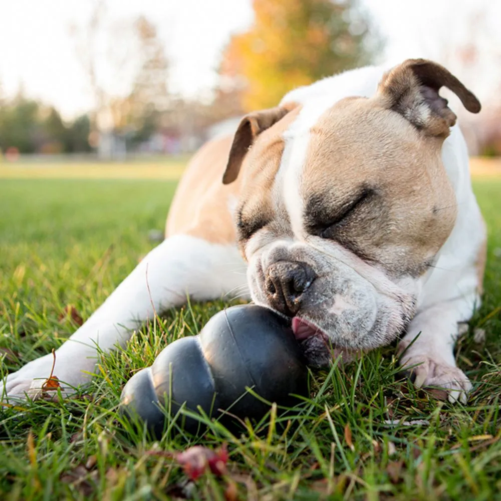 Kong Extreme Chew Dog Toy