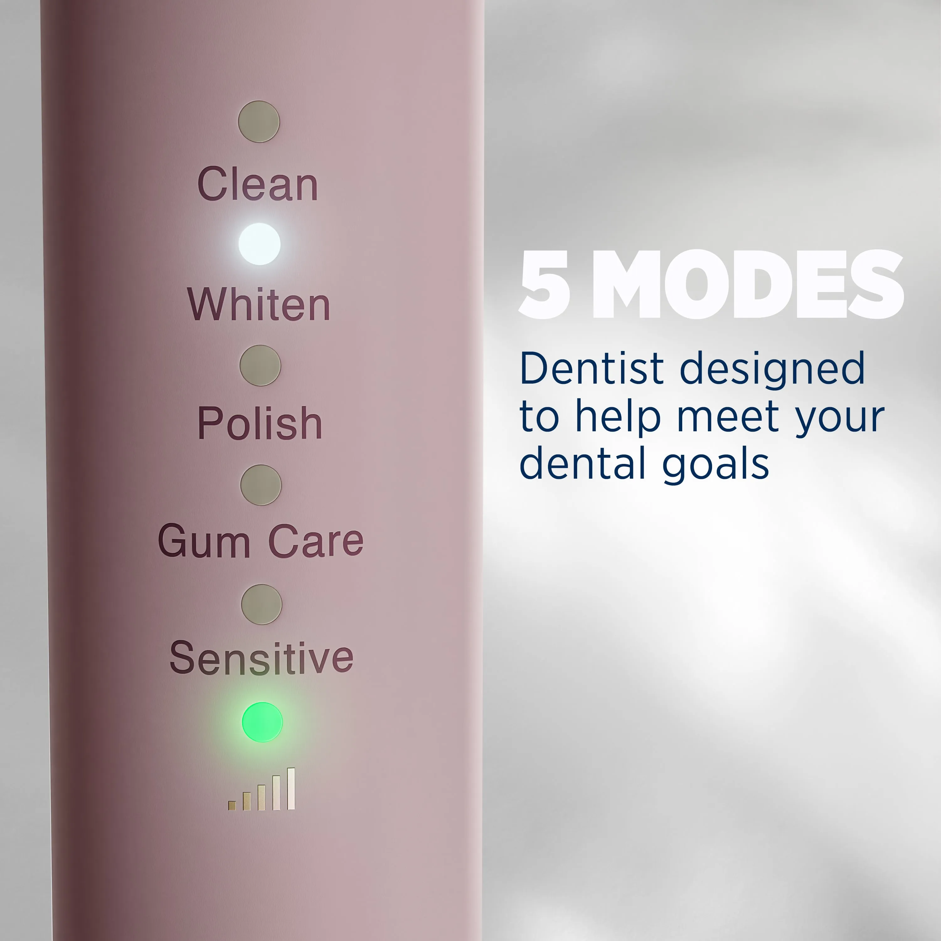 Lumineux® Sonic Electric Toothbrush (In Bloom)