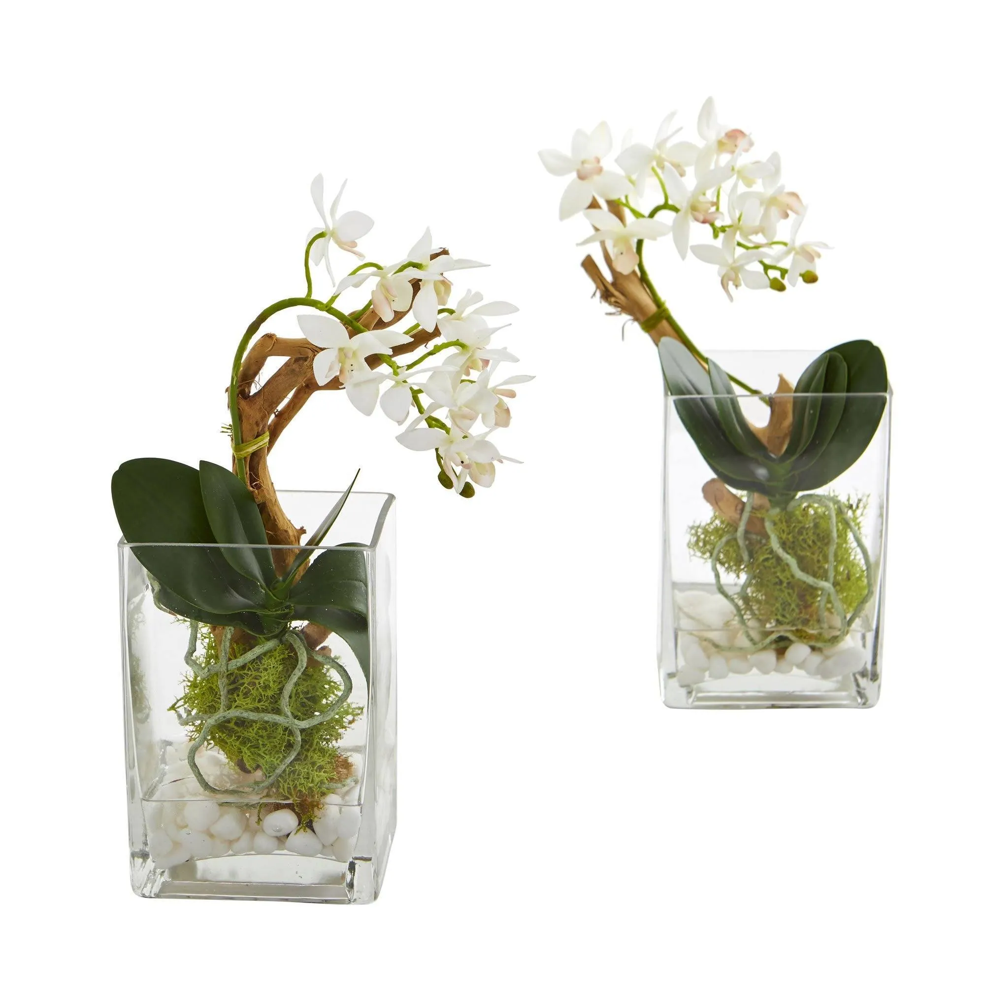 Mini Phalaenopsis Orchid Artificial Arrangement (Set of 2)