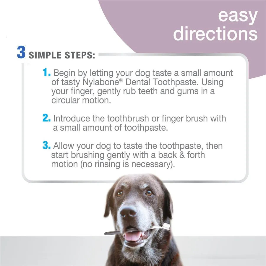 Nylabone Advanced Oral Care Senior Dog Dental Kit with Soft-Bristle Toothbrush 3 Count