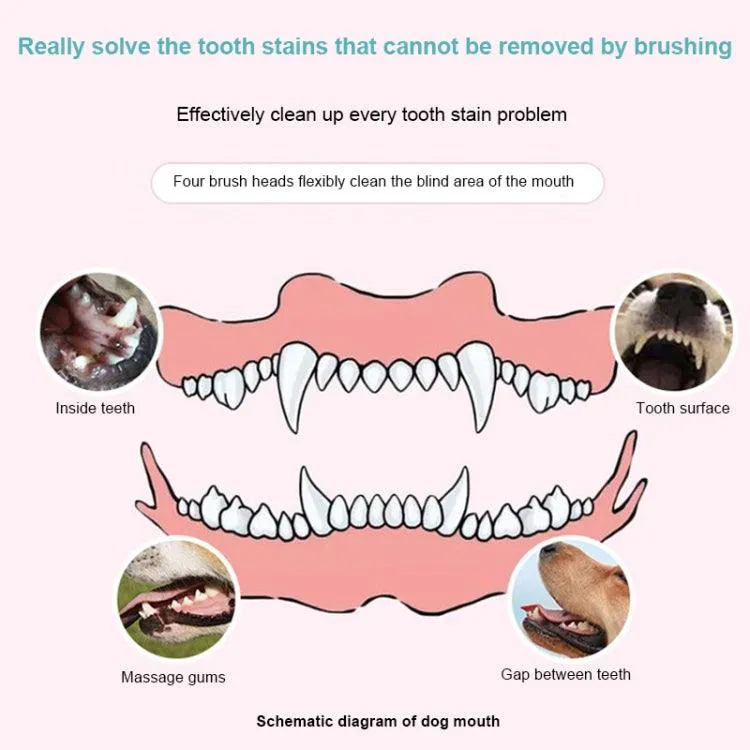 Pet Dental Care Electric Toothbrush and Plaque Remover