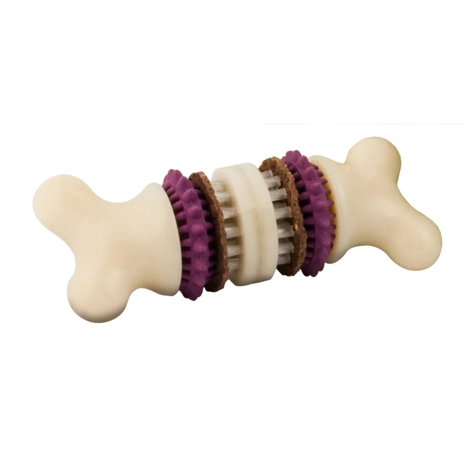 PetSafe Busy Buddy Bristle Bone Dog Toy with Refillable Treats