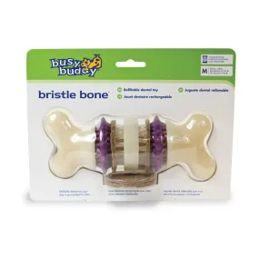 PetSafe Busy Buddy Bristle Bone Dog Toy with Refillable Treats