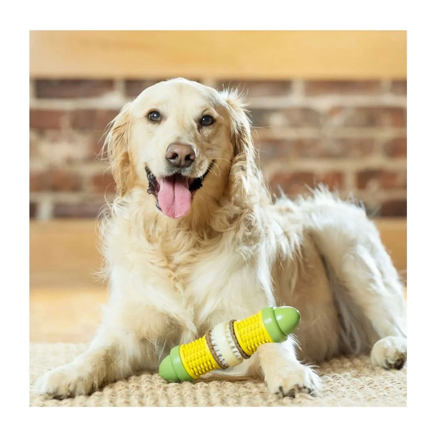 PetSafe Busy Buddy Cravin' Corncob Dog Toy with Refillable Treats