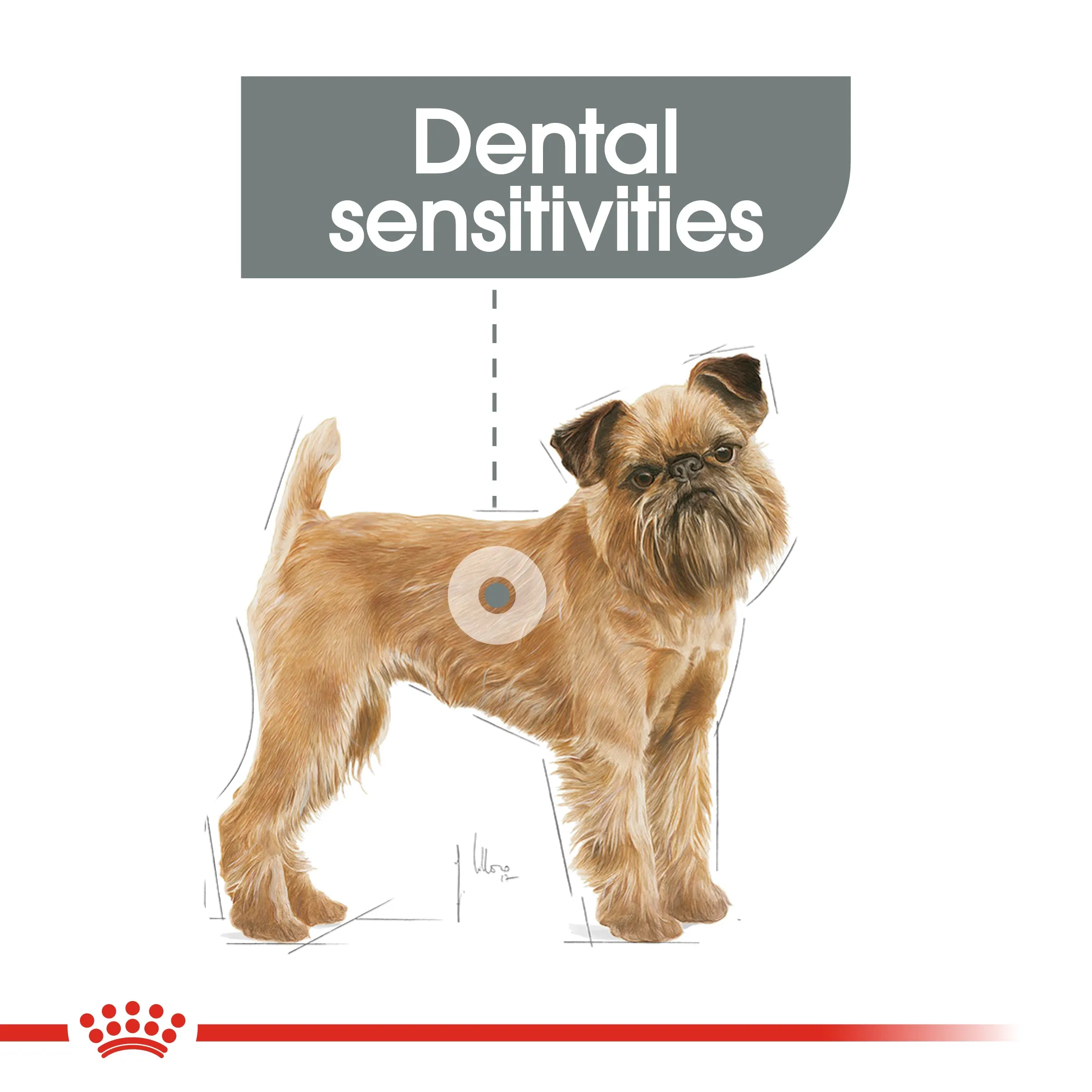 Royal Canin Mini Dental Care