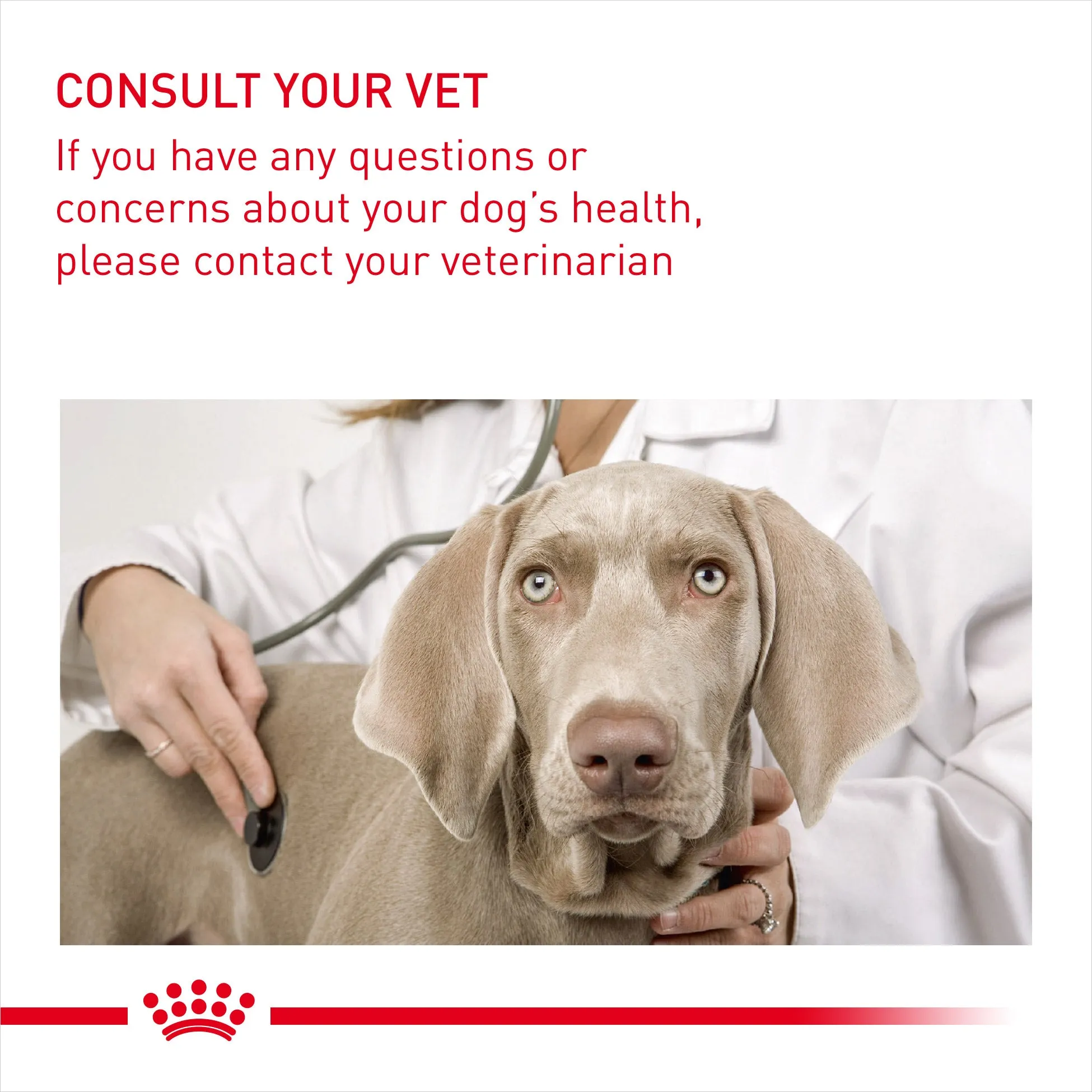 Royal Canin Mini Dental Care