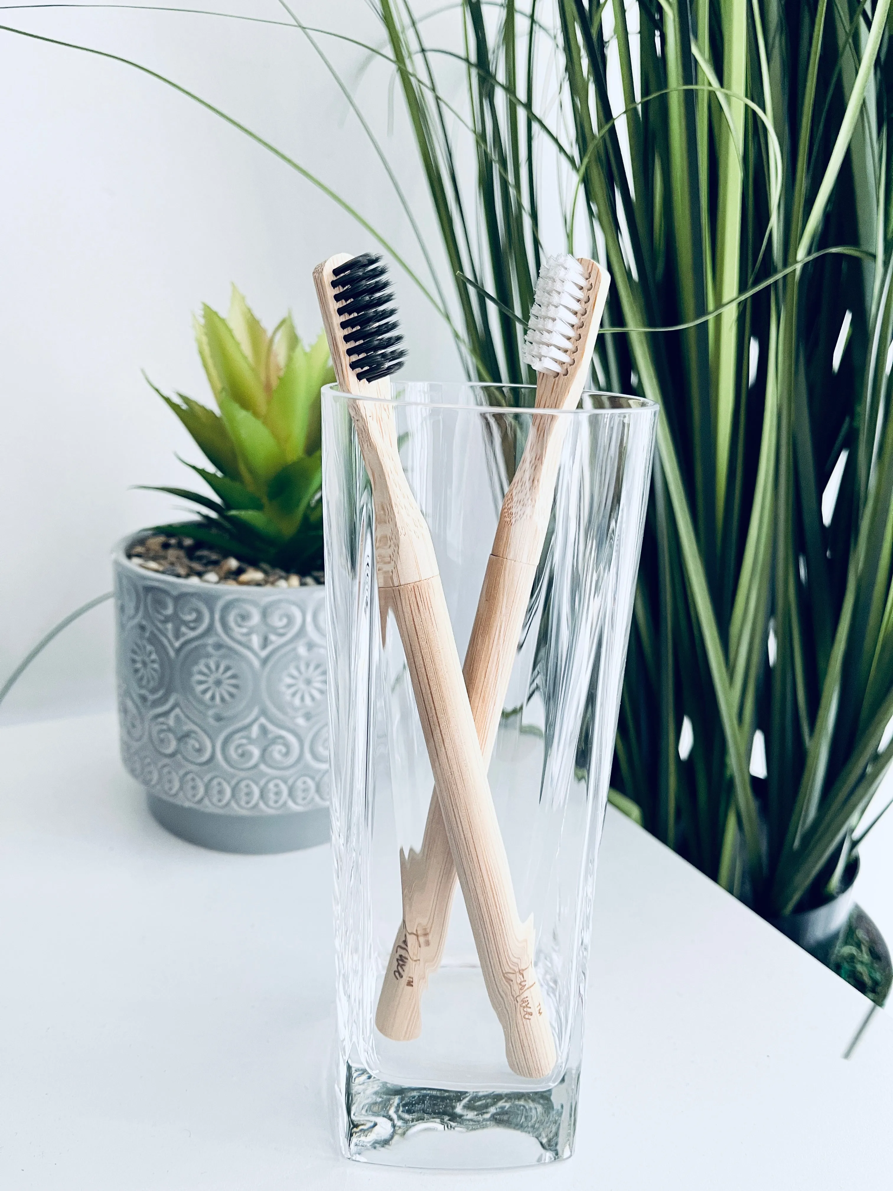 Sample Bamboo Toothbrush Replaceable Bristle Adults