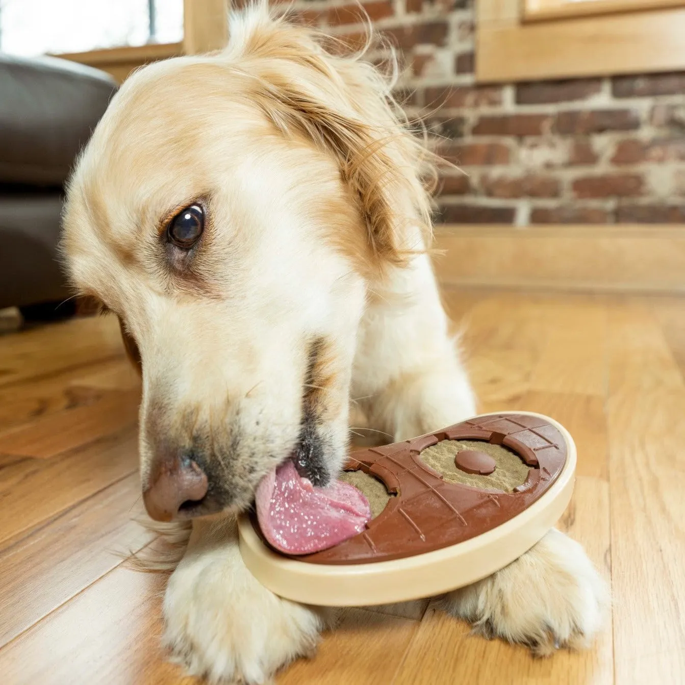 Slab o’ Sirloin Treat Ring Dog Toy