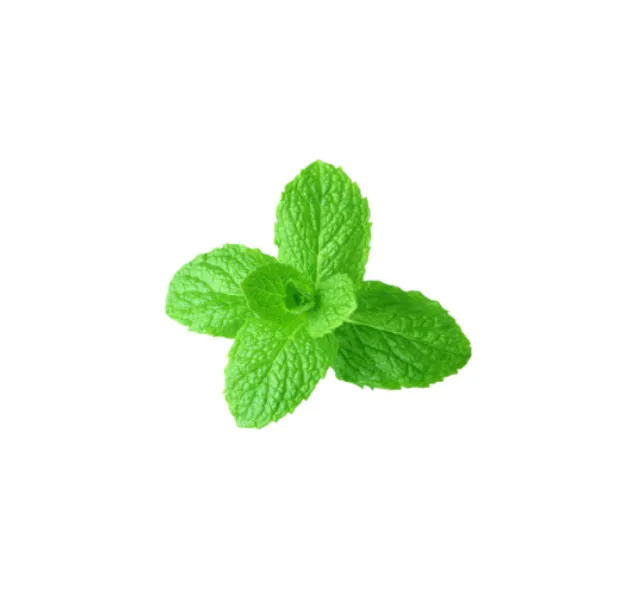 Spearmint *TGA Essential Oil | dōTERRA