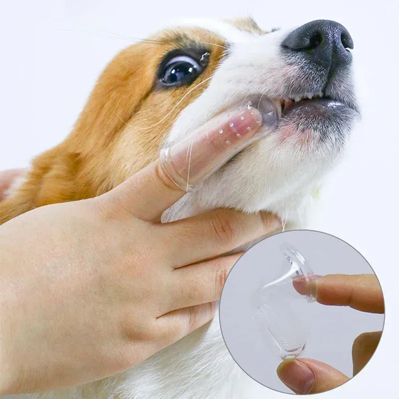 Super Soft Pet Finger Toothbrush – Silicagel Teeth Care Tool for Dogs and Cats