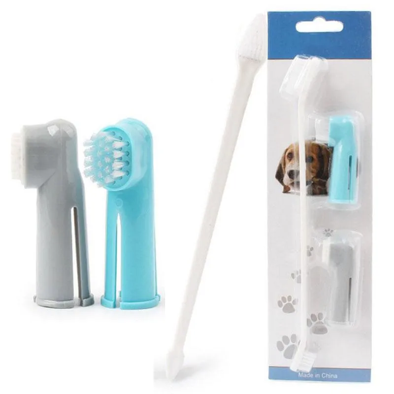 Toothbrush for Frenchie (WS59)