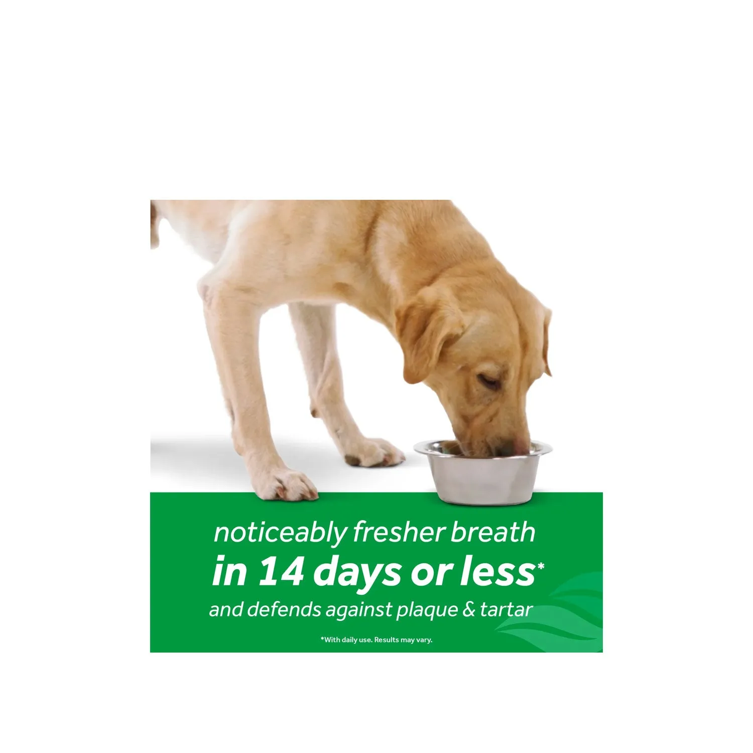 Tropiclean Fresh Breath Dental Health Solution For Dogs - 473ml